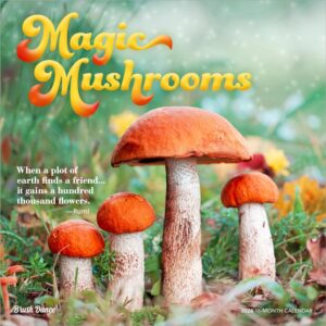 Magic Mushrooms | 2026 12 x 24 Inch (Hanging) Monthly Square Wall Calendar | Plastic-Free | Brush Dance | Fungus Fungi Microorganism